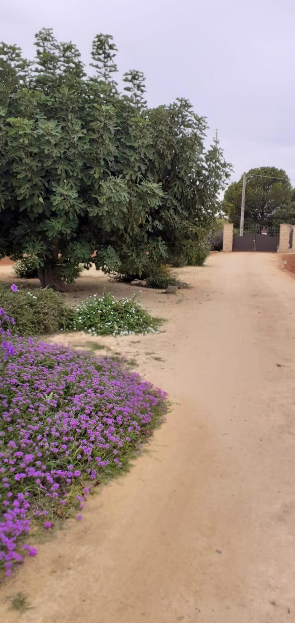 Trullo Totoli Gallipoli Salento Galatone Eksteriør bilde